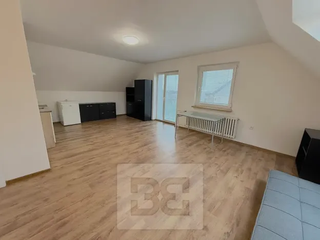 Pronájem atypického bytu, Praha - Stodůlky, Frimlova, 196 m2