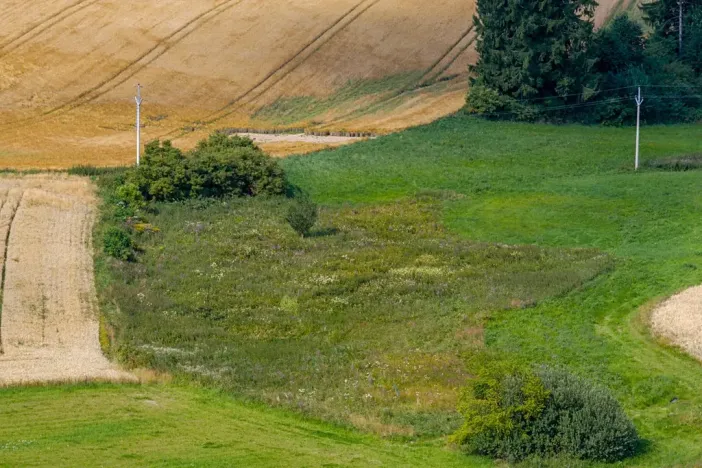 Prodej rybníku, Želetava, 5179 m2