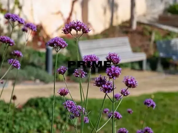 Pronájem bytu 2+kk, Praha - Smíchov, Holečkova, 71 m2