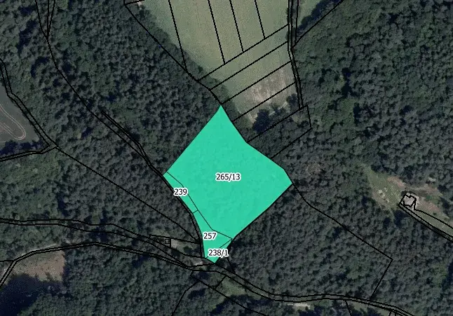 Prodej lesa, Vysoká, 12485 m2