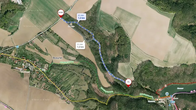 Prodej lesa, Vysoká, 12485 m2