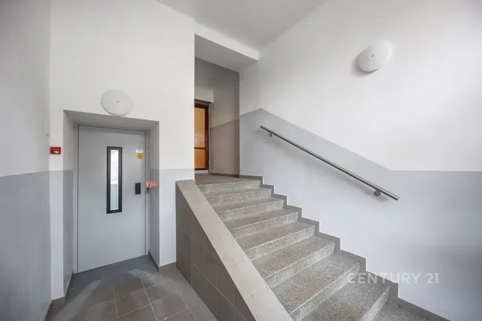 Prodej bytu 2+1, Plzeň, Ořechová, 68 m2