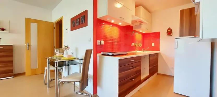 Pronájem bytu 1+kk, Brno, Šemberova, 51 m2