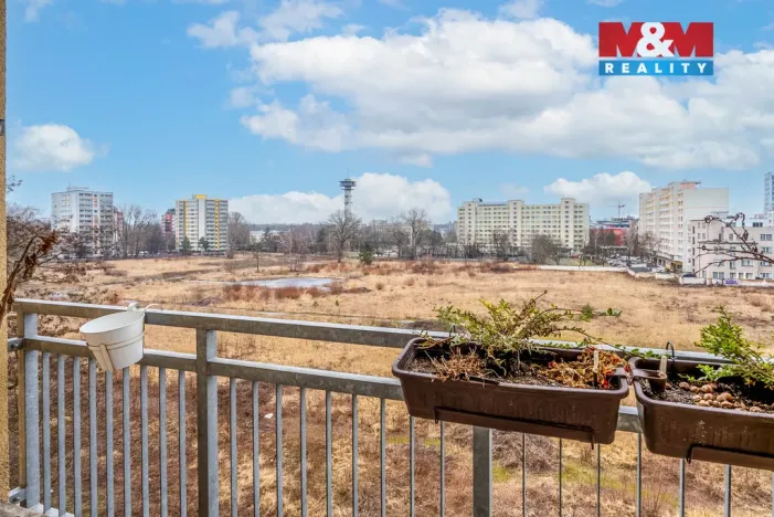 Prodej bytu 2+1, Pardubice - Zelené Předměstí, Palackého třída, 71 m2