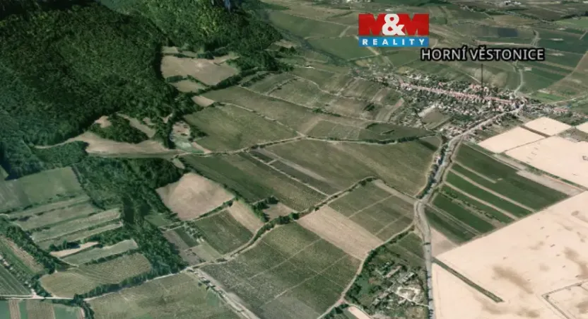 Prodej pole, Horní Věstonice, 4000 m2