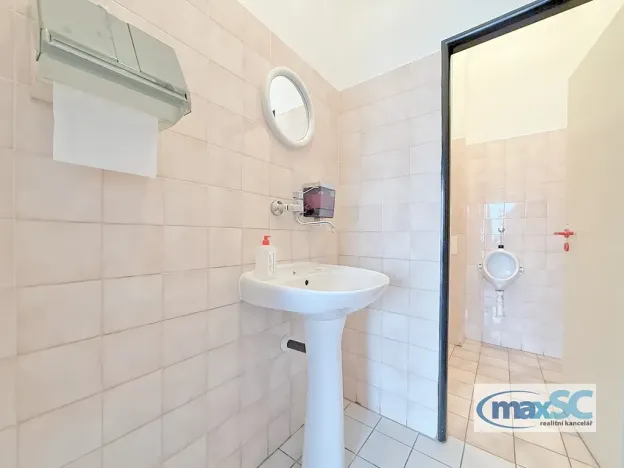 Prodej skladu, Říčany, Technická, 4150 m2