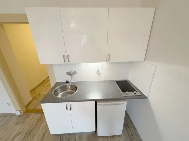 Pronájem bytu 1+kk, Praha - Vršovice, Přípotoční, 27 m2