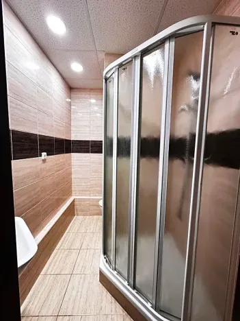 Prodej bytu 1+1, Orlová, Lesní, 37 m2