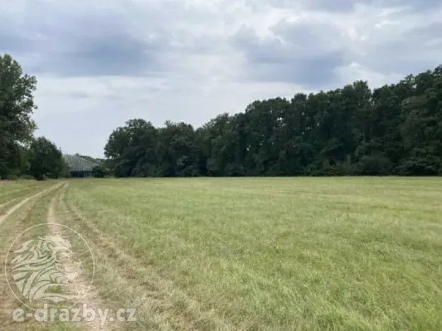 Dražba pole, Oseček, 83999 m2