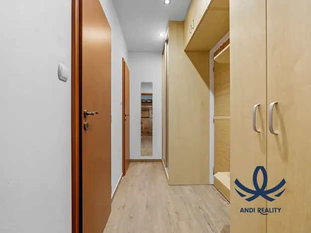 Pronájem bytu 1+1, Mladá Boleslav, Jana Palacha, 40 m2