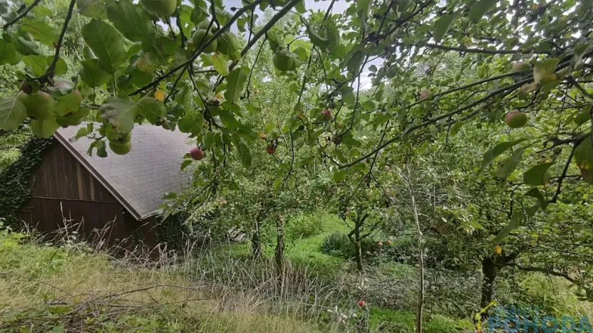 Prodej pozemku pro bydlení, Vysoké Mýto, Vinice, 1447 m2