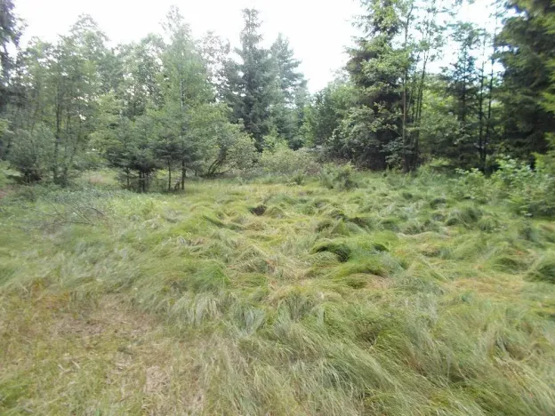 Prodej louky, Velký Šenov, 3266 m2