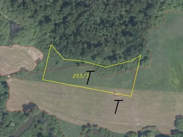 Dražba louky, Česká Lípa, 5581 m2