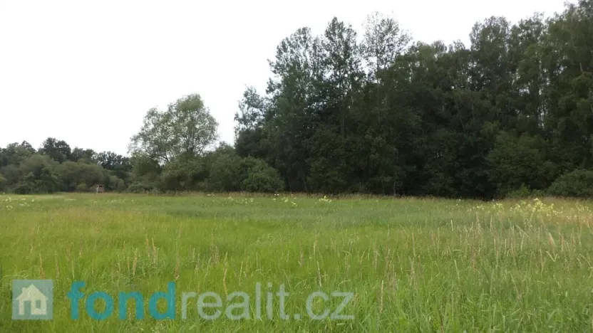 Prodej pole, Česká Lípa, 5581 m2