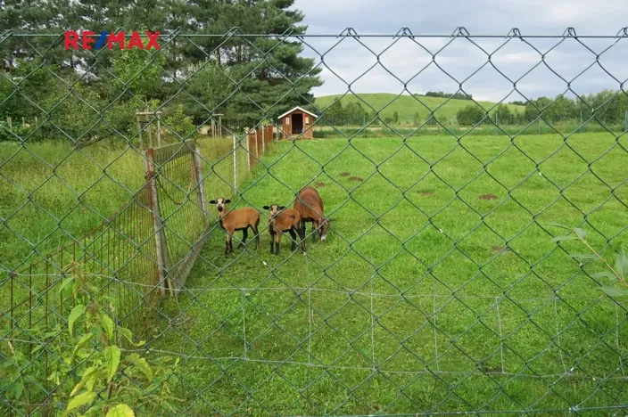 Prodej chalupy, Stará Červená Voda, 130 m2