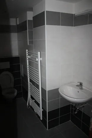 Pronájem bytu 2+1, Praha - Holešovice, Dělnická, 48 m2