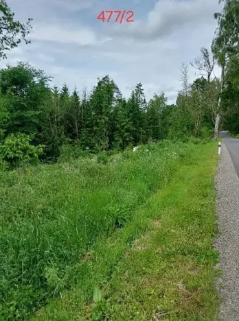 Prodej lesa, Častrov, 144 m2