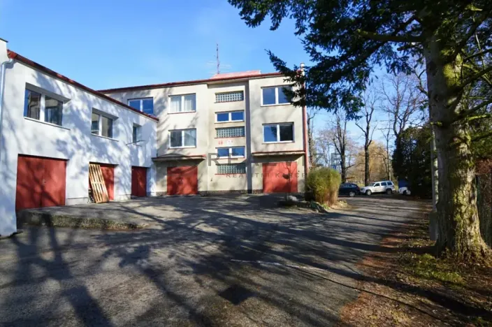 Pronájem kanceláře, České Budějovice, Rudolfovská tř., 101 m2