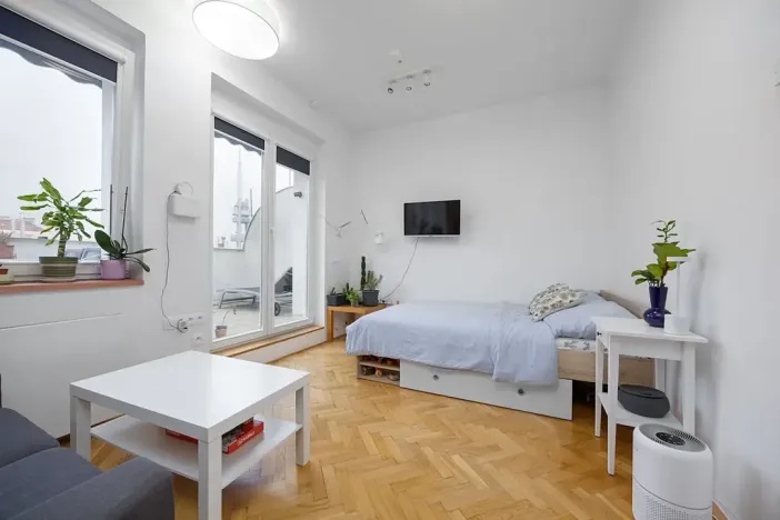 Prodej bytu 1+1, Praha - Žižkov, Baranova, 49 m2