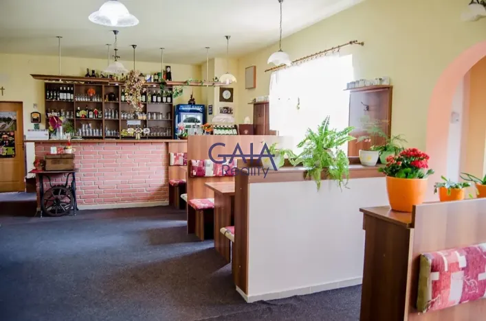 Pronájem ubytování, Veselí nad Moravou, Sadová, 170 m2