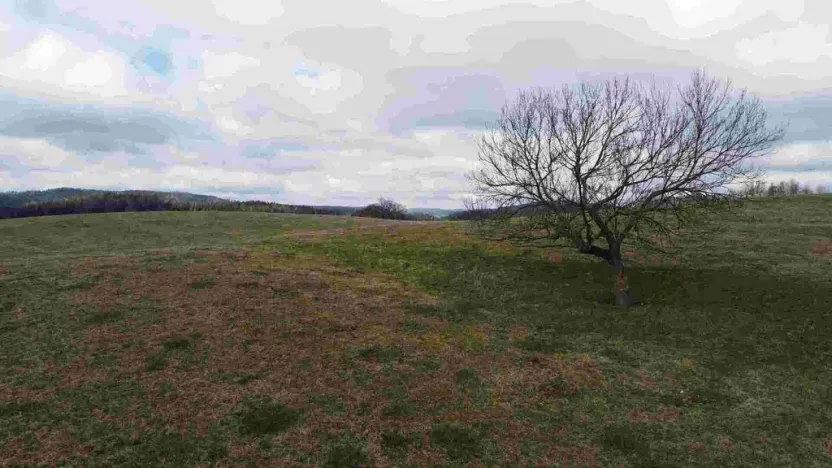 Prodej pozemku, Teplice nad Metují, 5185 m2