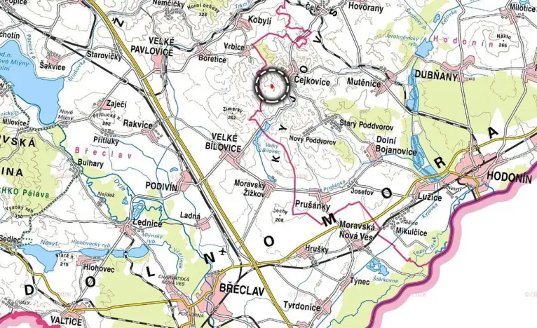 Prodej sadu/vinice, Čejkovice, 3575 m2