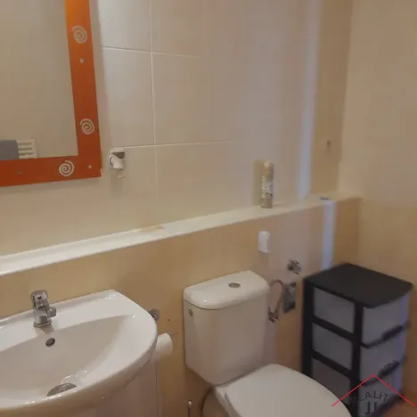 Pronájem bytu 2+kk, Praha - Vysočany, Pod Harfou, 59 m2