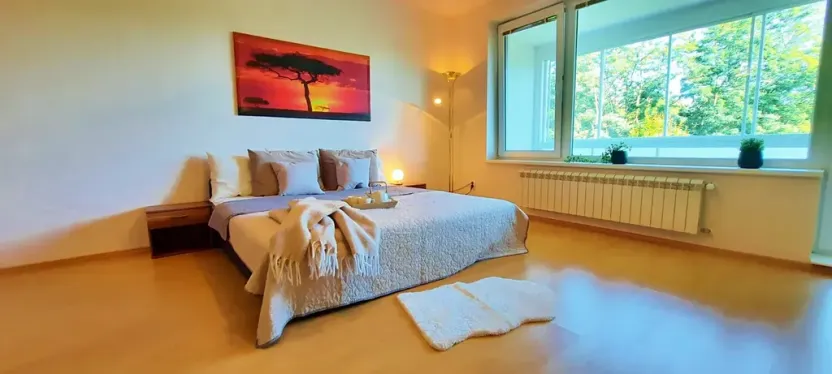 Pronájem bytu 1+kk, Brno, Šemberova, 51 m2