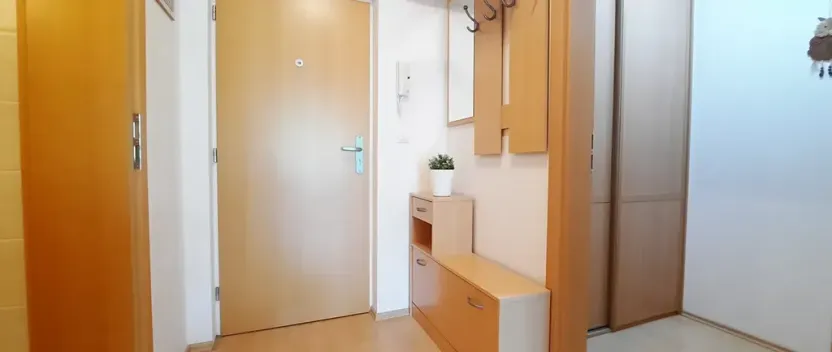 Pronájem bytu 1+kk, Brno, Šemberova, 51 m2