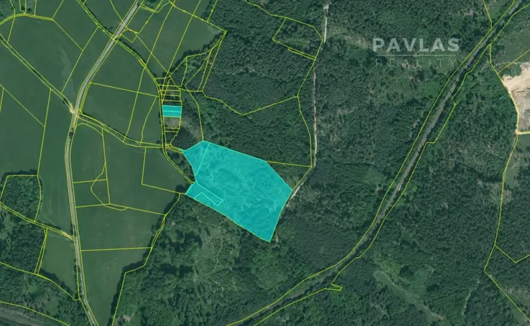 Prodej lesa, Hosín, 32334 m2