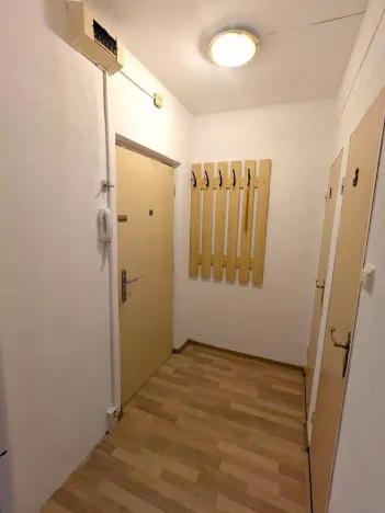 Pronájem bytu 1+1, Bílina, Alšova, 27 m2