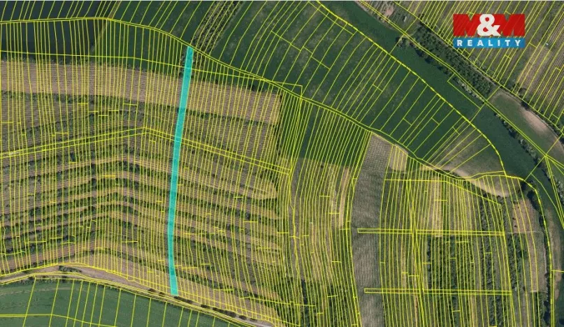 Prodej pole, Morkůvky, 3677 m2