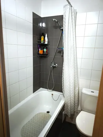 Prodej bytu 1+1, Slaný, Rabasova, 27 m2