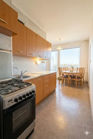 Prodej bytu 1+1, Olomouc - Nová Ulice, Pionýrská, 45 m2