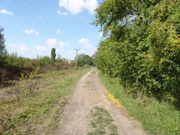 Prodej louky, Kosmonosy, 8401 m2