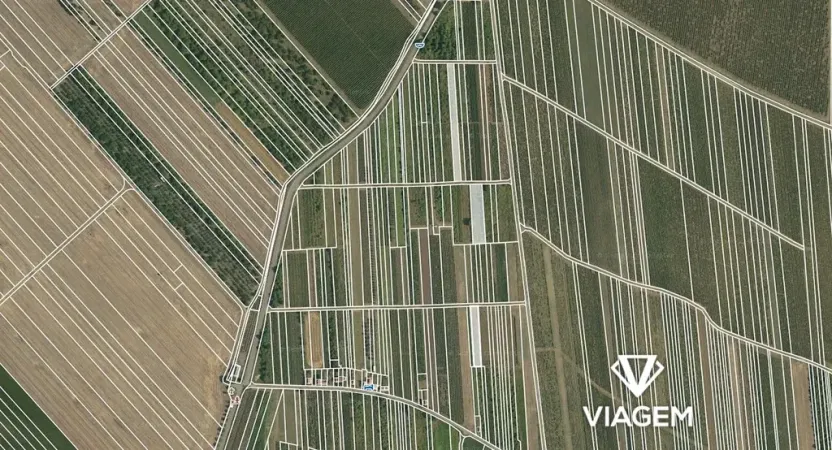 Prodej podílu pole, Moravský Žižkov, 1427 m2