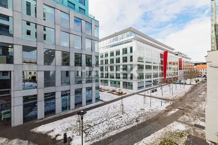 Pronájem bytu 2+kk, Praha - Karlín, Pernerova, 55 m2