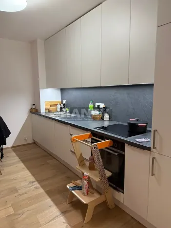 Prodej bytu 2+kk, Praha - Karlín, Křižíkova, 66 m2