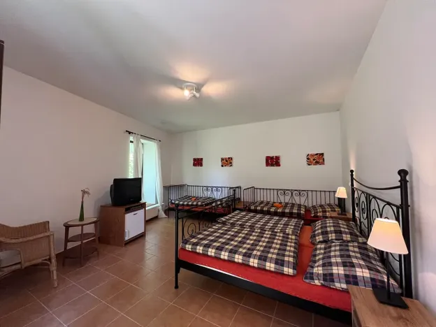 Prodej rodinného domu, Zlatá Koruna, 500 m2