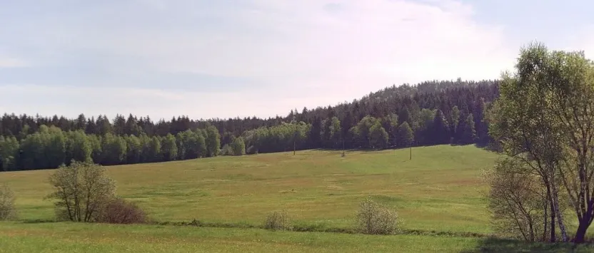 Prodej pole, Pohorská Ves - Janova Ves, 67144 m2