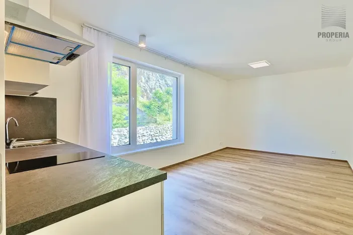 Pronájem bytu 1+kk, Brno, Bystrcká, 30 m2