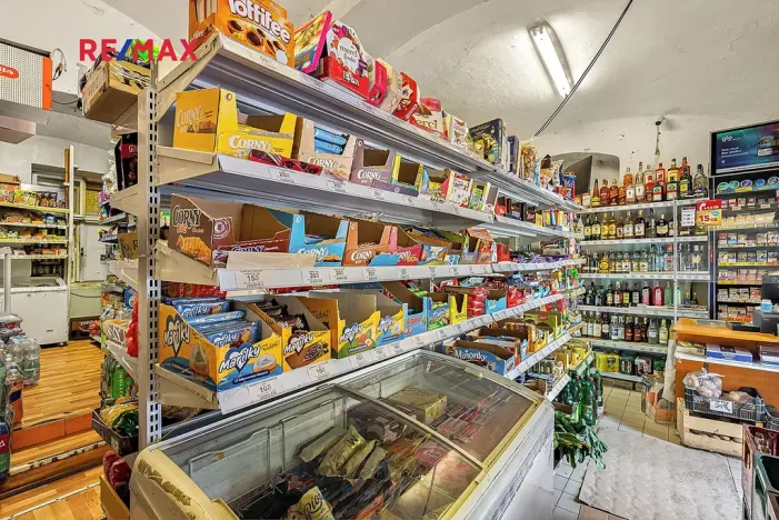 Prodej rodinného domu, Kostelec nad Černými lesy, Pražská, 250 m2