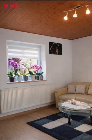 Prodej rodinného domu, Zruč-Senec, Na výsluní, 126 m2