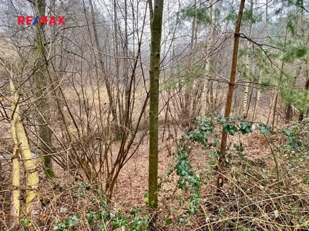 Prodej pozemku, Ondřejov, 8264 m2