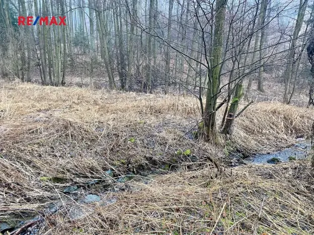 Prodej rybníku, Ondřejov, 8264 m2