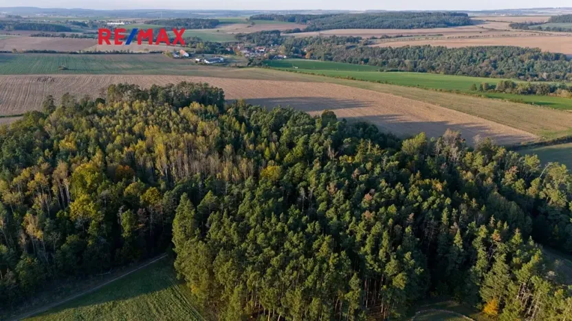 Prodej lesa, Všehrdy, 35057 m2