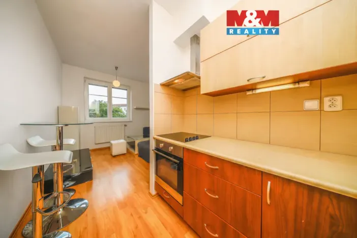 Pronájem bytu 1+kk, Plzeň - Jižní Předměstí, U Radbuzy, 29 m2