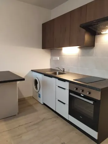 Pronájem bytu 1+kk, Plzeň, Skupova, 20 m2