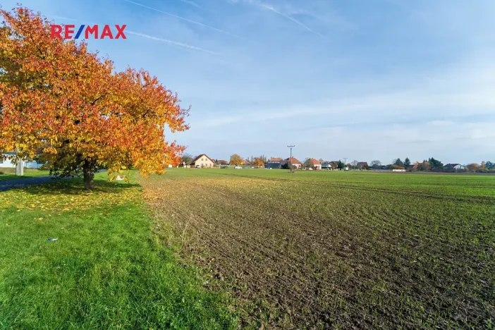 Prodej pozemku pro bydlení, Všechlapy, 9214 m2