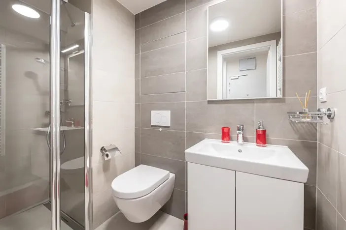 Pronájem bytu 1+kk, Brno, Placzkova, 28 m2